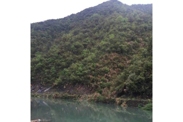 山庄景图26